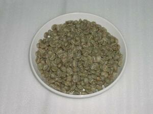 raw legume Guatamala premium legume pa Len sia1 kilo back SCAA system cup appraisal 83 point special ti coffee 