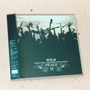 CD　東京スカパラダイスオーケストラ WILD PEACE　DVD付　帯付☆☆