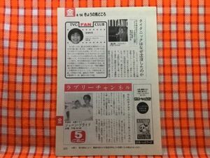 CN21025◆切抜き◇財前直見矢部浩之宮城秋菜きたろう桜金造早見優◇ジューン・ブライド・セカンド・チャンス・今夜はあなたとミステリー