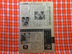 CN21205◆切抜き◇小林麻美原田結実石野真子シブガキ隊藤田まこと栗原小巻◇胸さわぐ苺たち・噂のポテトボーイ・千利休とその妻たち