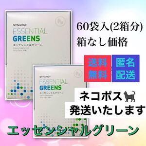 新品 60袋 エッセンシャルグリーン 健康食品 青汁 サプリメント シナジー サプリ 栄養補助食品 トレーニング ジム スポーツ