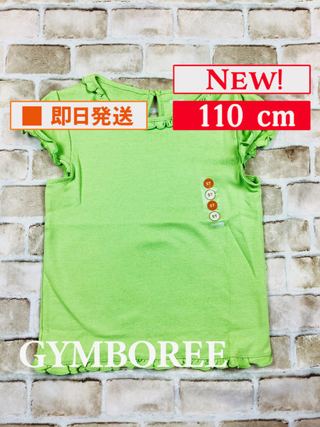 Top-305【新品】Gymboree/Ｔシャツ/110cm/US5T/パステルグリーン/半袖/綿100%/子供服/女の子/ジンボリー/インポート/送料無料