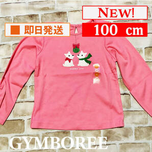 Top-409【新品】Gymboree/長袖カットソー/100cm/US4T/ピンク/アップリケ/シャーリング/子供服/女の子/ジンボリー/インポート/送料無料