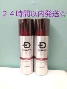 アンファー スカルプD 育毛スカルプトニック 180ml×2 薄毛