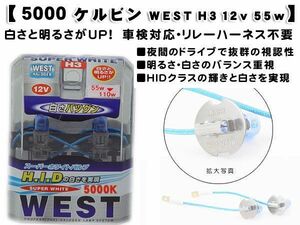 H3　5000K スーパーホワイトバルブ 車検対応 ハロゲン 5000ケルビン WEST-H3