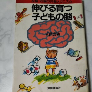 左脳・右脳の共働メカニズム　伸びる育つ　子どもの脳