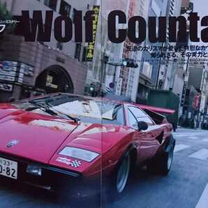 ★ランボルギーニ・イオタSVJ #4860/LP500S WW1号車/P140/ミウラ スパイダー/バイク/350GTV etc 切り抜き44Pの画像7