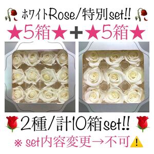 ホワイトRose・2種/計10箱!/未使用(新古品) プリザーブド ハーバリウム 薔薇 白 ( 値引不可 )