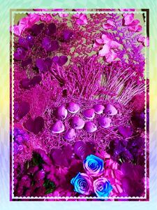 ( pink大箱 ) 加工 プリザーブド ハーバリウム ドライフラワー 花材 薔薇