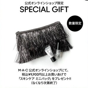 MAC 非売品 現在 ポーチ 化粧水 保湿クリーム