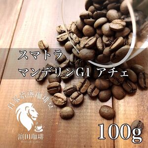 スマトラ マンデリンG1 アチェ 100g