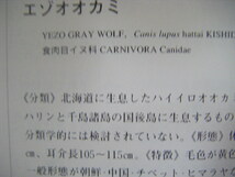 1996年6月再版　『絶滅野生動物の事典』今泉忠明　東京堂出版_画像7