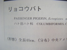 1996年6月再版　『絶滅野生動物の事典』今泉忠明　東京堂出版_画像9