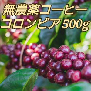 コーヒー 豆 無農薬 コロンビア500g 自家焙煎珈琲 オーガニック