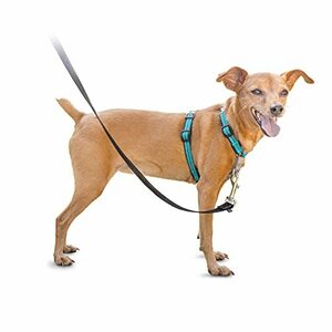 特別価格 PetSafe 3 in 1 犬 ハーネス 小型犬 引っ張り防止 調整簡単 抜けない 耐久性が高い 夜間反射