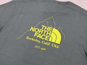 新品 送料無料 The north face Biner Graphic 4 Tee Agave Green Sサイズ(日本Mサイズ相当)ノースフェイス Tシャツ
