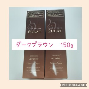 ヘアボーテエクラ ボタニカル エアカラーフォーム ダークブラウン 2本