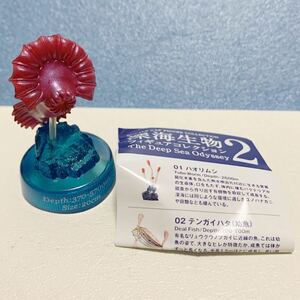  out of print deep sea living thing 2 figure collection 03yumenamakonamako sea bottom bottle cap aquarium deep sea living thing sea . not for sale DyDo MIU Kaiyodo 