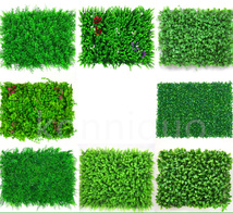 人工観葉植物小さなピーナッツ草のどの芝生の壁の背景装飾の低木緑パネル装飾的なフェンス 緑 40*60cm 10枚 緑植物T2CP18_画像9