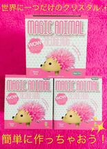 【送料無料！】ハリネズミ クリスタル MAGIC ANIMAL マジックアニマル hedgehog ピンク 3個セット！新品 未使用☆_画像1