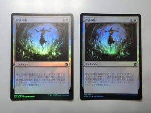 【MTG】★Foil　停止の場　日本語2枚セット　タルキール覇王譚　KTK　アンコモン