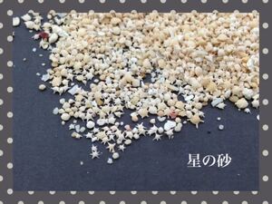 星の砂 星砂 20g レジン 封入 ハンドメイド 素材 ガラスドーム アクセサリーパーツ