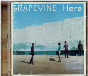 グレイプバイン（GRAPEVINE）ＣＤ４枚セット