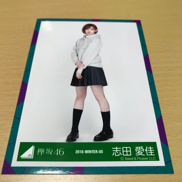 欅坂46 志田愛佳 【避雷針】(MV衣装)2018-WINTER-05 全身 生写真 計1点