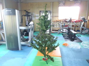 【中古品】◆クリスマスツリー　175cm　◆ツリー本体のみ