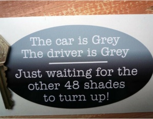 ★送料無料★50 SHADES OF GREY Funny Car STICKER ステッカー デカール 125mm x 70mm