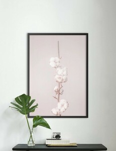 NOUROM | COTTON BRANCH | アートプリント/ポスター (50x70cm)