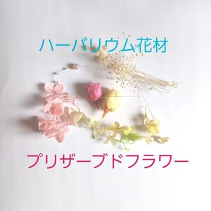 ハーバリウム花材 プリザーブドフラワー ドライフラワー