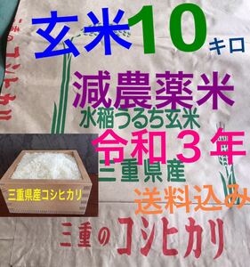 減農薬米 令和３年新米　三重県産コシヒカリ　玄米１０キロ 全国送料込