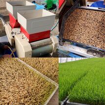 減農薬米 三重県産コシヒカリ　玄米１０キロ 全国送料込_画像2