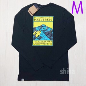 THE NORTH FACE ノースフェイス 長袖 ロンT ロング tシャツ ブラック 黒 海外限定 フェイセズ 海外Mサイズ