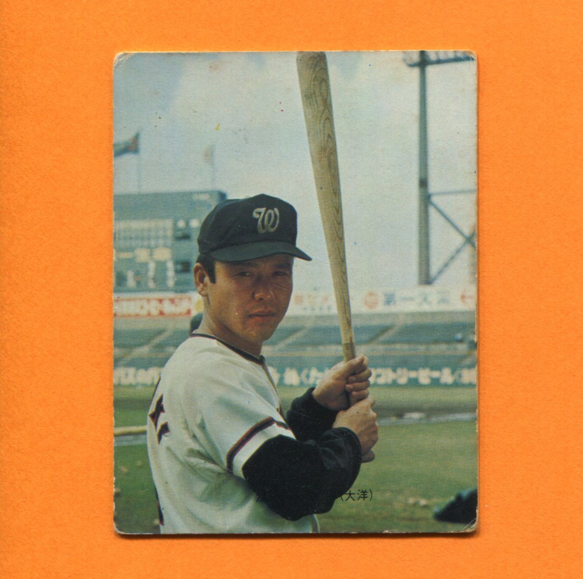 高品質の激安 1973年カルビープロ野球カードNo.54 江尻亮 （大洋） 1973年 - turningheadskennel.com
