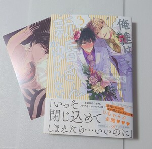 俺達は新婚さんかもしれない4巻*とらのあな特典付*ちしゃの実先生
