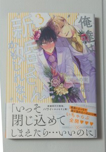 俺達は新婚さんかもしれない4巻*ちしゃの実先生