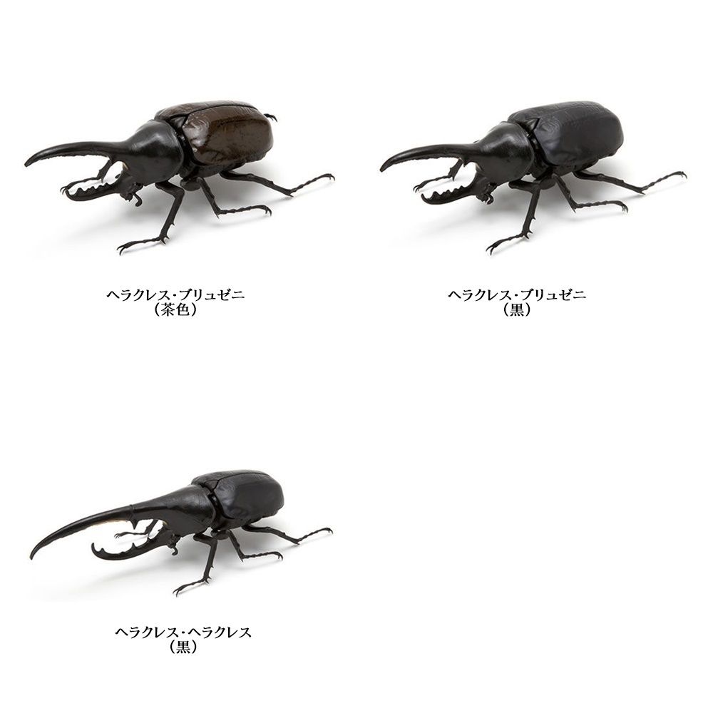 ヤフオク! -いきもの大図鑑 カブトムシの中古品・新品・未使用品一覧
