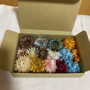 ハーバリウム花材