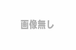 エブリィ用 ボルトキャリィ/エブリィワゴンR/ワイド・プラス・ソリオ 87158-57JF0 スズキ純正部品