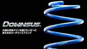 全国送料無料！(離島を除く) 代引不可 エスペリア ダウンサス【EST-2430】トヨタ プリウス 1台分