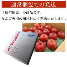 【青森県産】家庭用 訳あり りんご 5kg箱 サンふじ_画像5