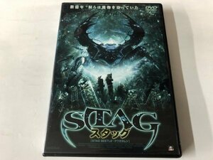 A)中古DVD 「スタッグ」 クリストファー・アトキンス / コルム・ミ－ニイ