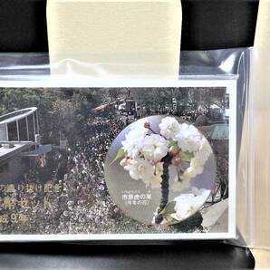 ★平成9年【市原虎の尾】桜の通り抜け記念貨幣セット の画像4