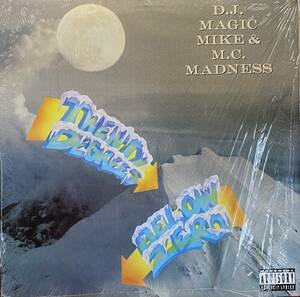 DJ MAGIC MIKE & MC MADNESS/TWENTY DEGREES BELOW ZERO