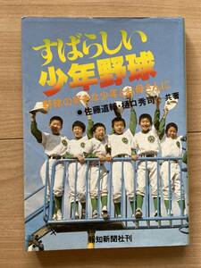 すばらしい少年野球 佐藤道輔