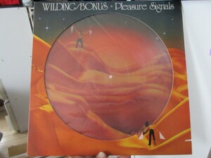 dd/ピクチャー盤/ジャズロック/Wilding / Bonus/Pleasure Signal