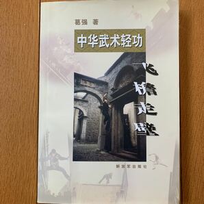 【中国武術】中華武術軽功　飛膽走壁　軽身功　壁を乗り越え、屋根を飛び移るアクロバッティックな動きが現代に蘇る　動画検索♯パルクール