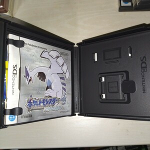 DSソフト ソウルシルバー ケース